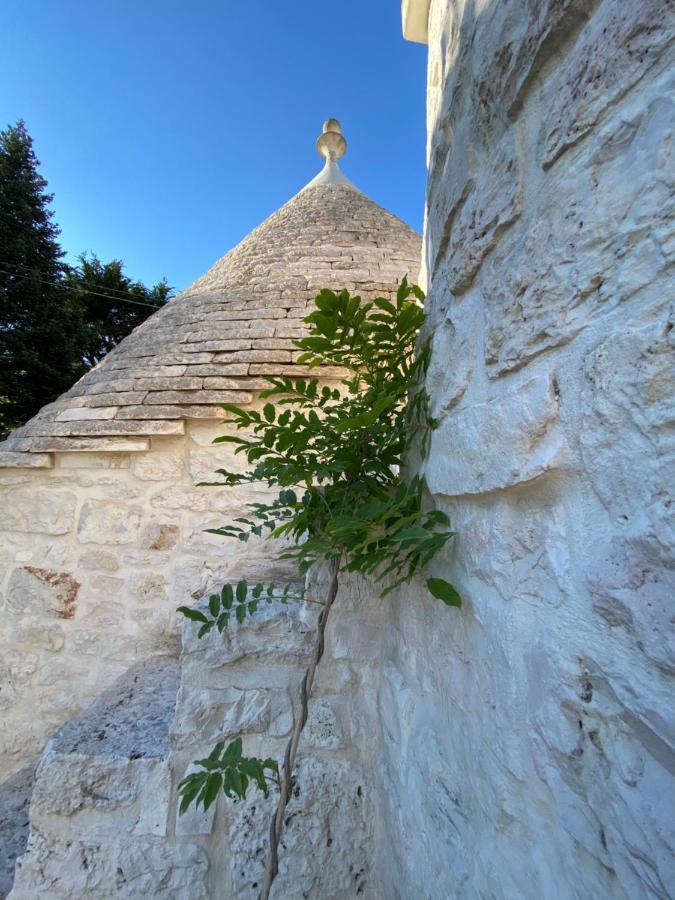 Bed and Breakfast I Trulli Del Tupparello Fasano Exteriér fotografie